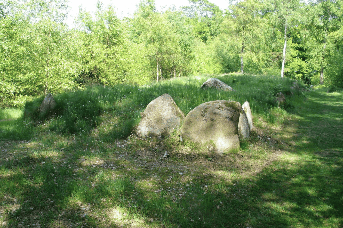 Markvejstur til Lindet Skov