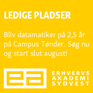 Læs til datamatiker i Tønder